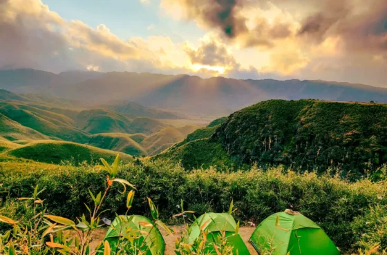 Dzukou Valley Special