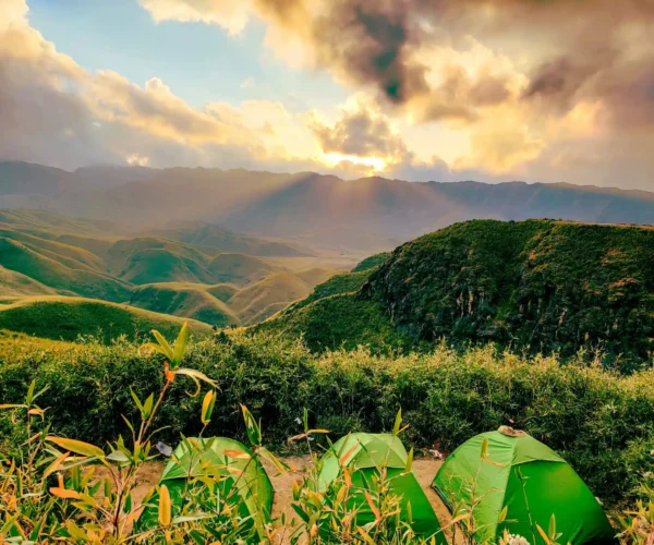 Dzukou Valley Special